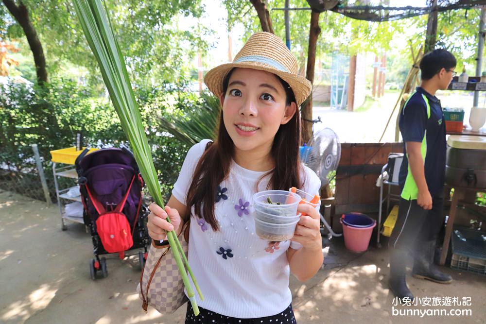 台南景點》樹谷農場，超多可愛小動物能餵食，還有樹屋溜滑梯與大沙坑好放電～