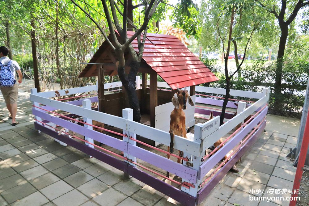 台南景點》樹谷農場，超多可愛小動物能餵食，還有樹屋溜滑梯與大沙坑好放電～