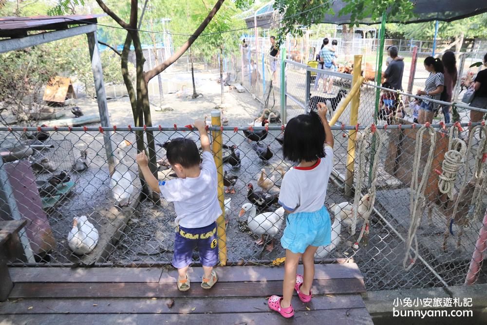 台南景點》樹谷農場，超多可愛小動物能餵食，還有樹屋溜滑梯與大沙坑好放電～