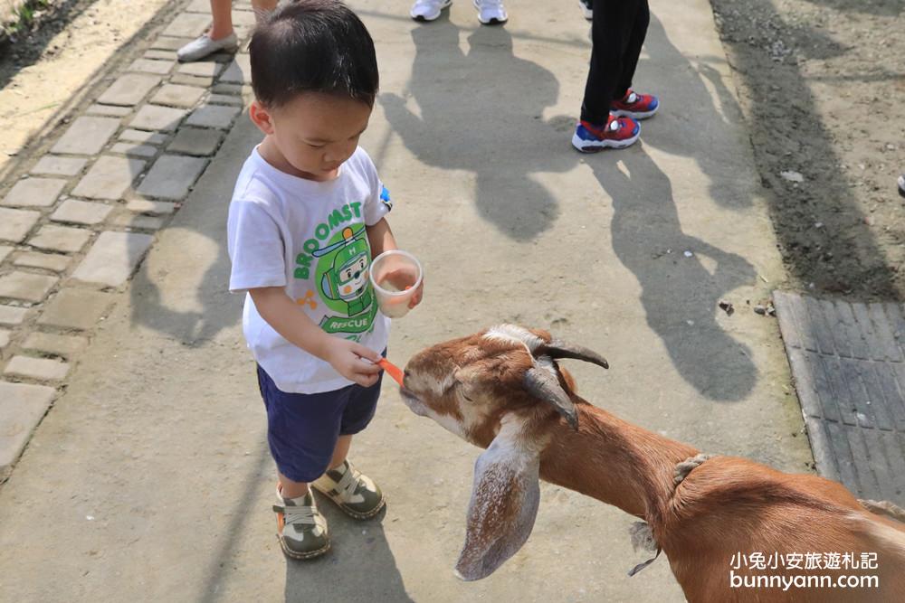 台南景點》樹谷農場，超多可愛小動物能餵食，還有樹屋溜滑梯與大沙坑好放電～