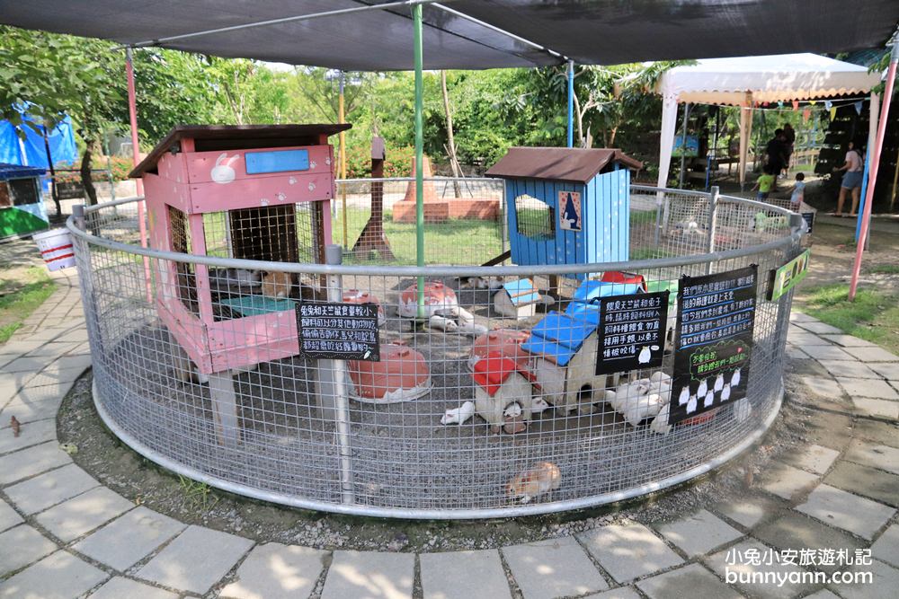 台南景點》樹谷農場，超多可愛小動物能餵食，還有樹屋溜滑梯與大沙坑好放電～