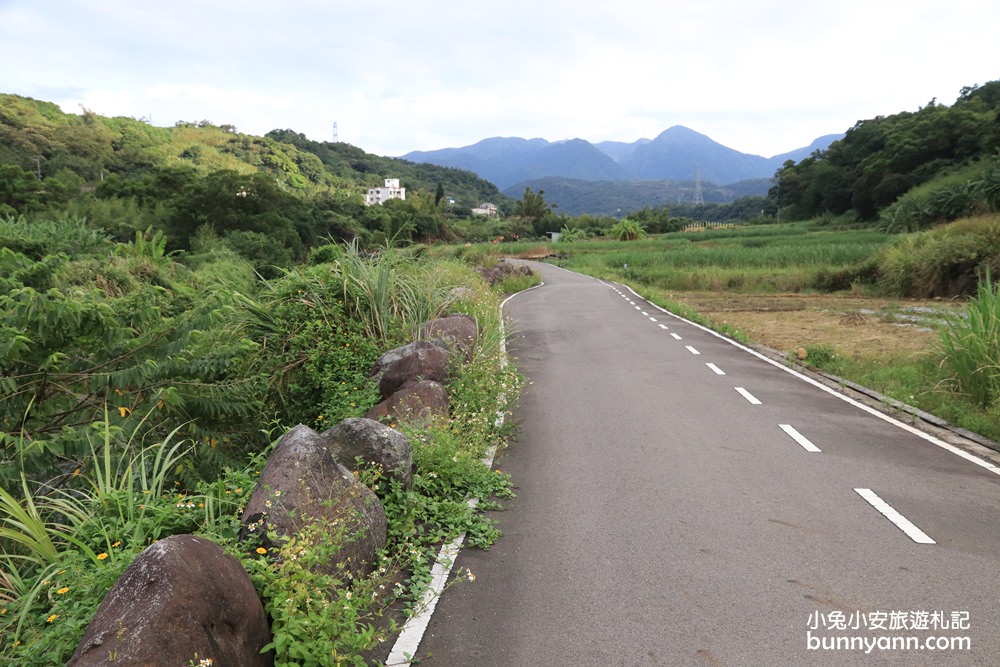 新北》2019三芝茭白筍節登場！農夫市集、淺水灣風情、採筍體驗一日遊～