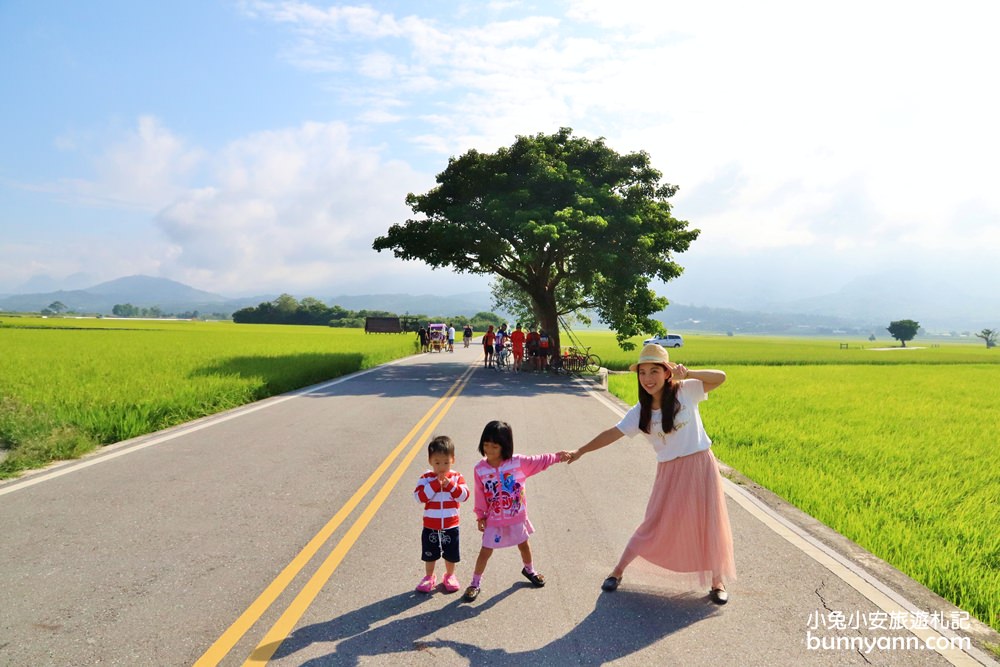 台東景點》I SEE YOU，池上伯朗大道金城武樹，美拍蔡依林樹與夢幻天堂路~