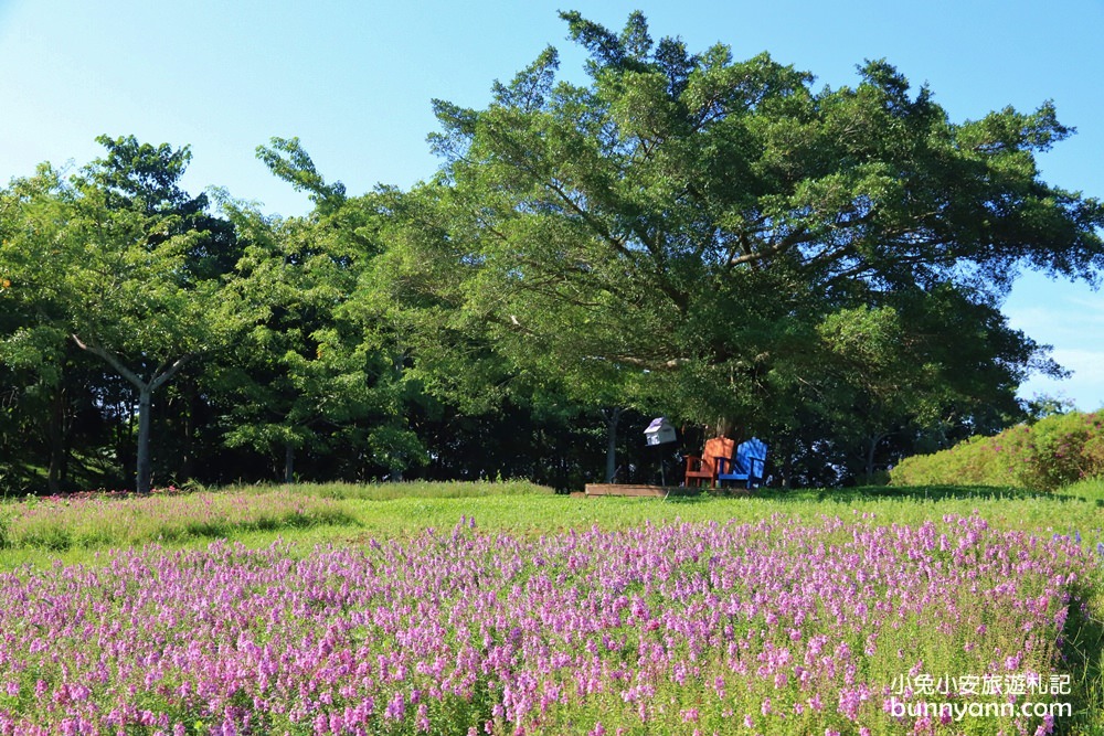 桃園景點》大溪花海農場，神秘復活島摩艾石像，全新優雅英國館秘密花園登場~