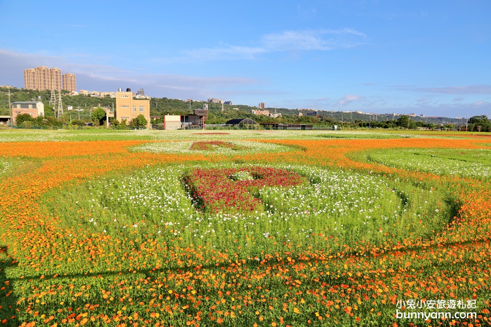 大溪花海節》2019桃園花彩節大溪展區，夢幻花海迷宮、彩虹花田浪漫登場!