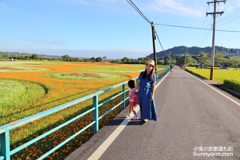 大溪花海節》2019桃園花彩節大溪展區，夢幻花海迷宮、彩虹花田浪漫登場!