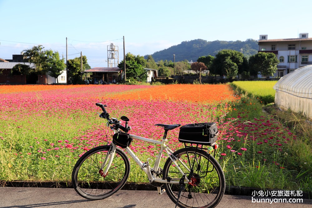 大溪花海節》2019桃園花彩節大溪展區，夢幻花海迷宮、彩虹花田浪漫登場!