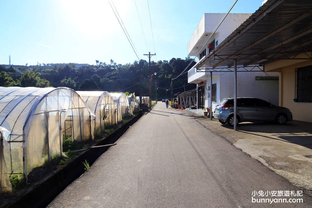 大溪花海節》2019桃園花彩節大溪展區，夢幻花海迷宮、彩虹花田浪漫登場!