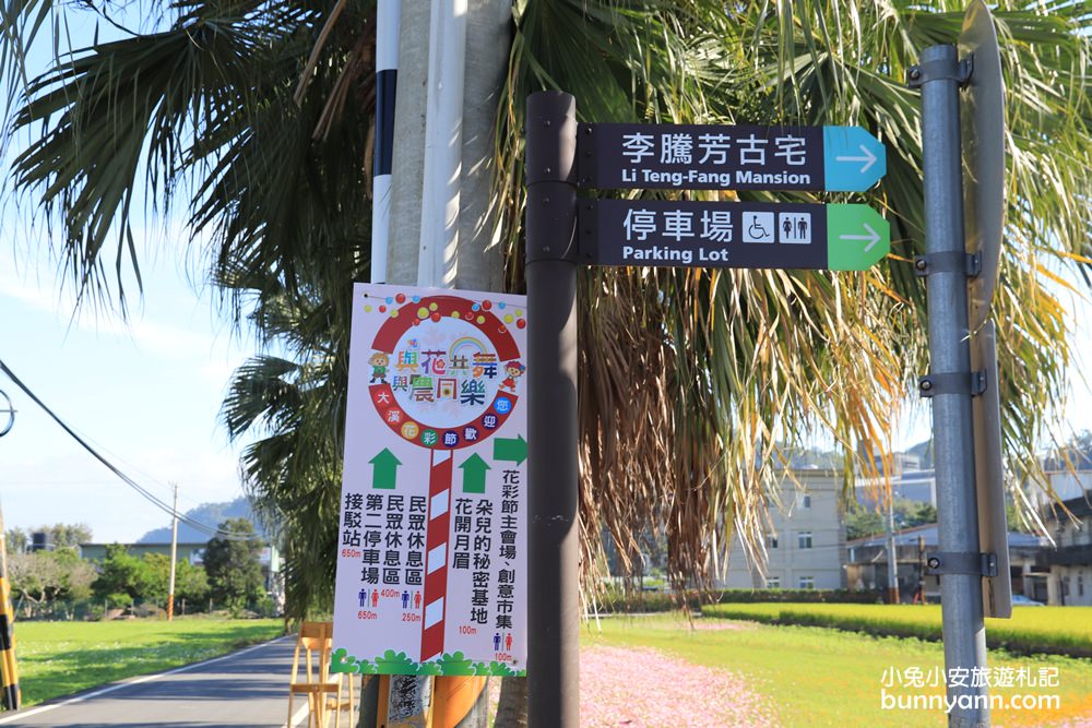 大溪花海節》2019桃園花彩節大溪展區，夢幻花海迷宮、彩虹花田浪漫登場!