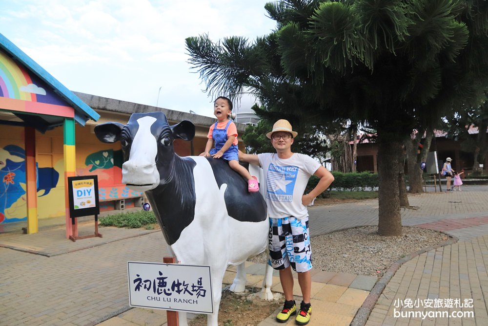 台東【初鹿牧場】與可愛乳牛互動，附近景點與門票優惠分享