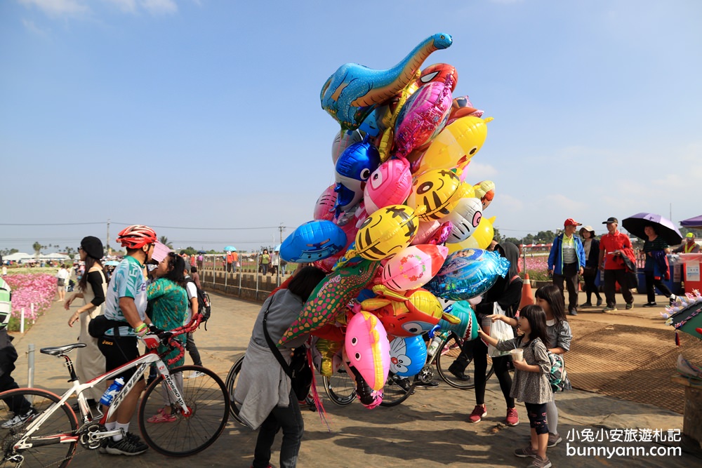 2023【新社花海】飛天漂浮城堡，超美花毯節11/11登場