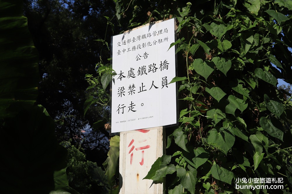 台中景點》后里八號隧道最美神隱少女秘境，唯美舊山線鐵道IG打卡點~