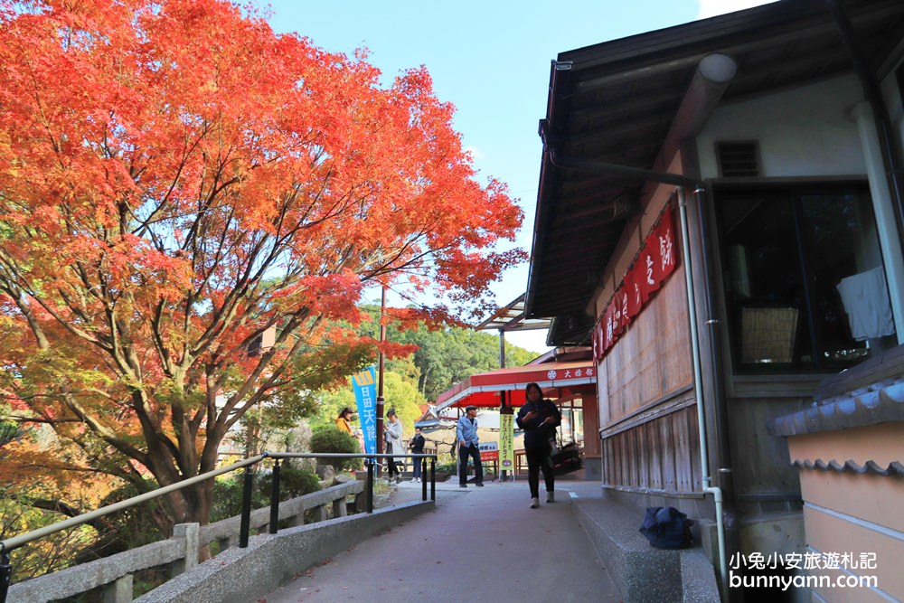 福岡「太宰府天滿宮」暢遊神社，美食推薦、環境介紹一次攻略。