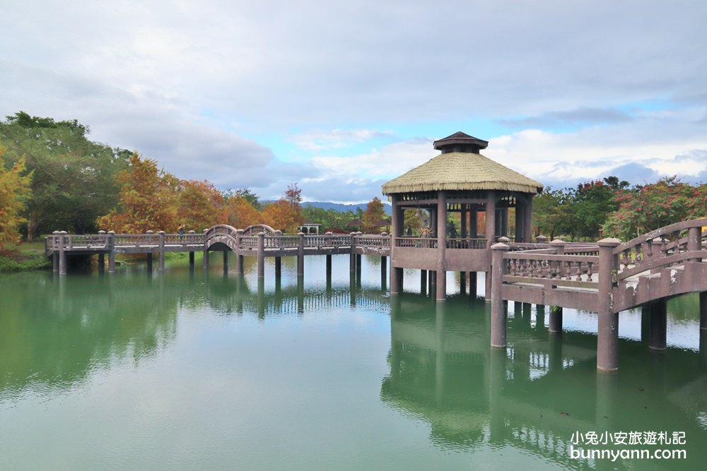 新光兆豐農場》墾夢莊園，門票優惠整理，一大群好可愛的浣熊!!