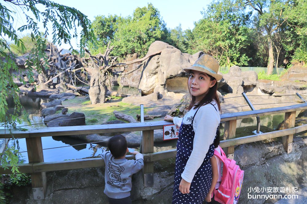 台北市立動物園》台北木柵動物園，熊貓館和穿山甲館最佳攻略路線