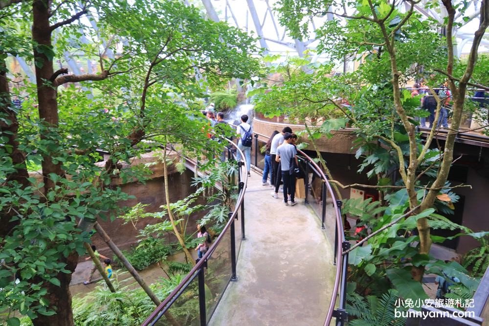 台北市立動物園》台北木柵動物園，熊貓館和穿山甲館最佳攻略路線