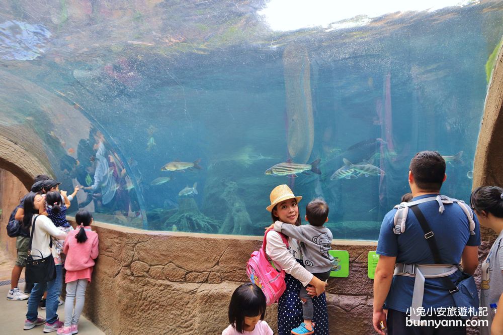 台北市立動物園》台北木柵動物園，熊貓館和穿山甲館最佳攻略路線