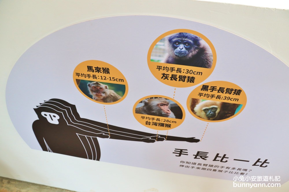 2024「新竹市立動物園」好拍好玩戶外動物王國，門票、交通、環境全攻略