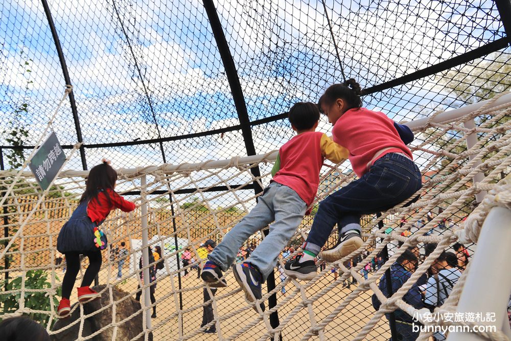 2024「新竹市立動物園」好拍好玩戶外動物王國，門票、交通、環境全攻略