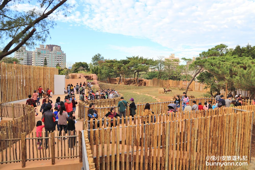 2024「新竹市立動物園」好拍好玩戶外動物王國，門票、交通、環境全攻略