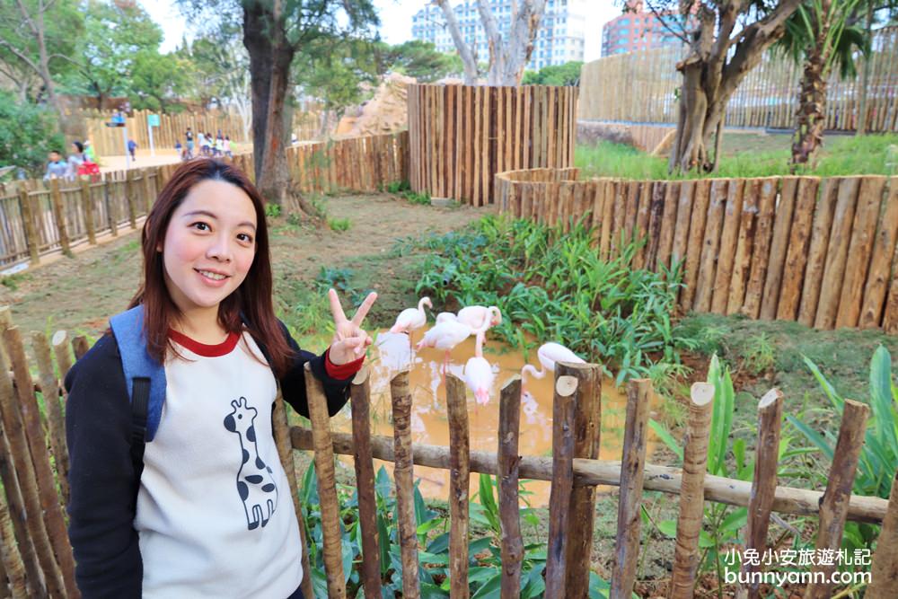 2024「新竹市立動物園」好拍好玩戶外動物王國，門票、交通、環境全攻略