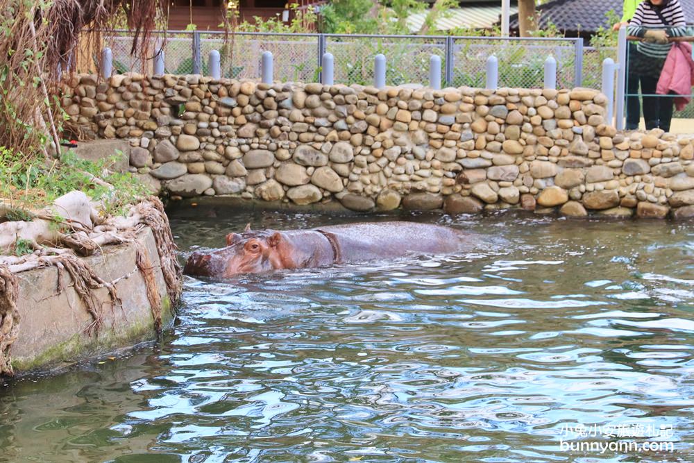 2024「新竹市立動物園」好拍好玩戶外動物王國，門票、交通、環境全攻略