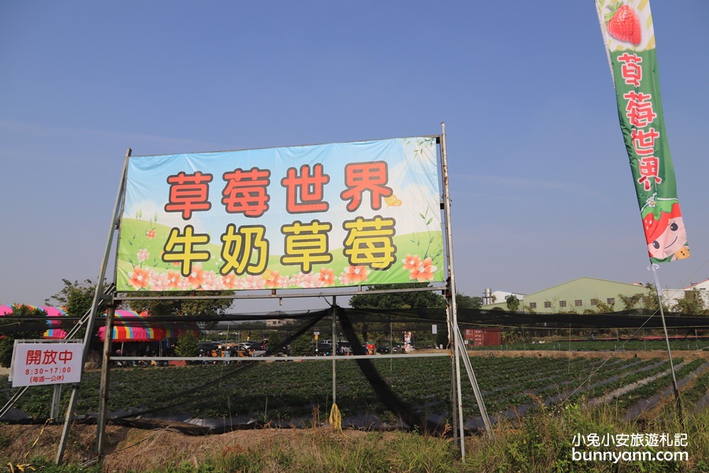 台中景點》潭子草莓世界入園免費！中台灣草莓季開始啦～酸甜的新鮮草莓等你來採！