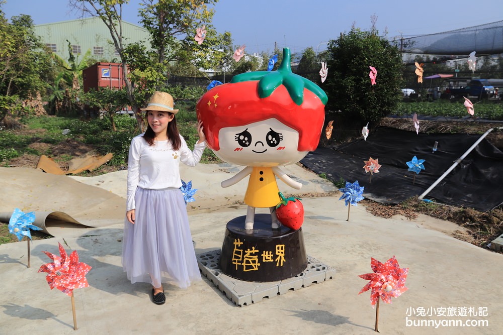 台中景點》潭子草莓世界入園免費！中台灣草莓季開始啦～酸甜的新鮮草莓等你來採！