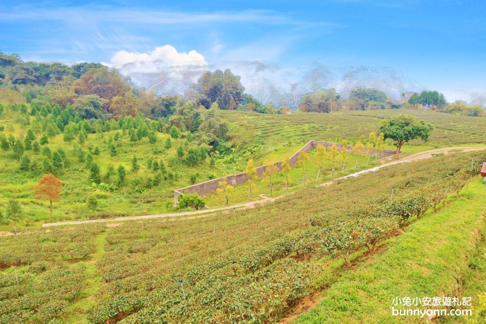 南投【鹿篙咖啡莊園】離天空好近的隱藏版山丘咖啡店(菜單)