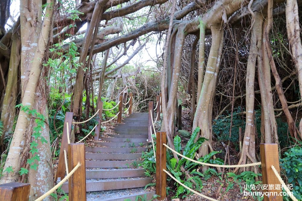 花蓮私房秘境，四八高地戰備坑道，揭開神秘戰時通道面貌