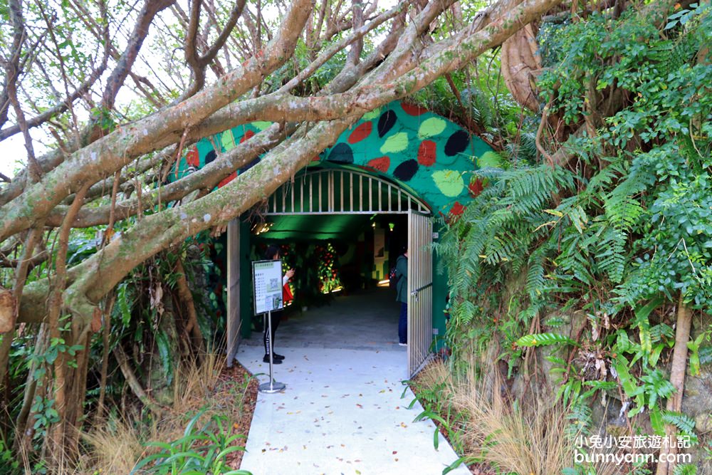 花蓮私房秘境，四八高地戰備坑道，揭開神秘戰時通道面貌