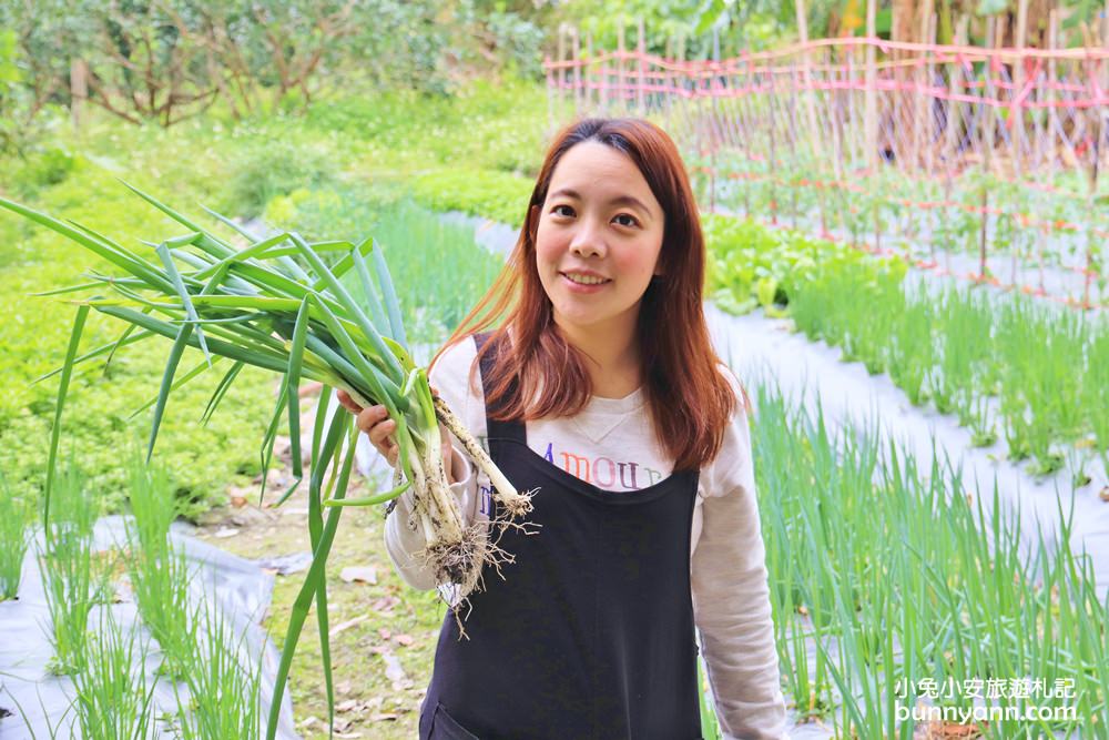 宜蘭民宿》梅花湖住宿選這！落羽松林裡童話村溜滑梯城堡，還能小溪撈蝦，下田採蔥做蔥油餅!