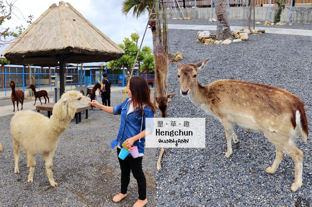 墾丁與可愛梅花鹿互動，墾草趣草食生態園區好玩嗎? @小兔小安*旅遊札記