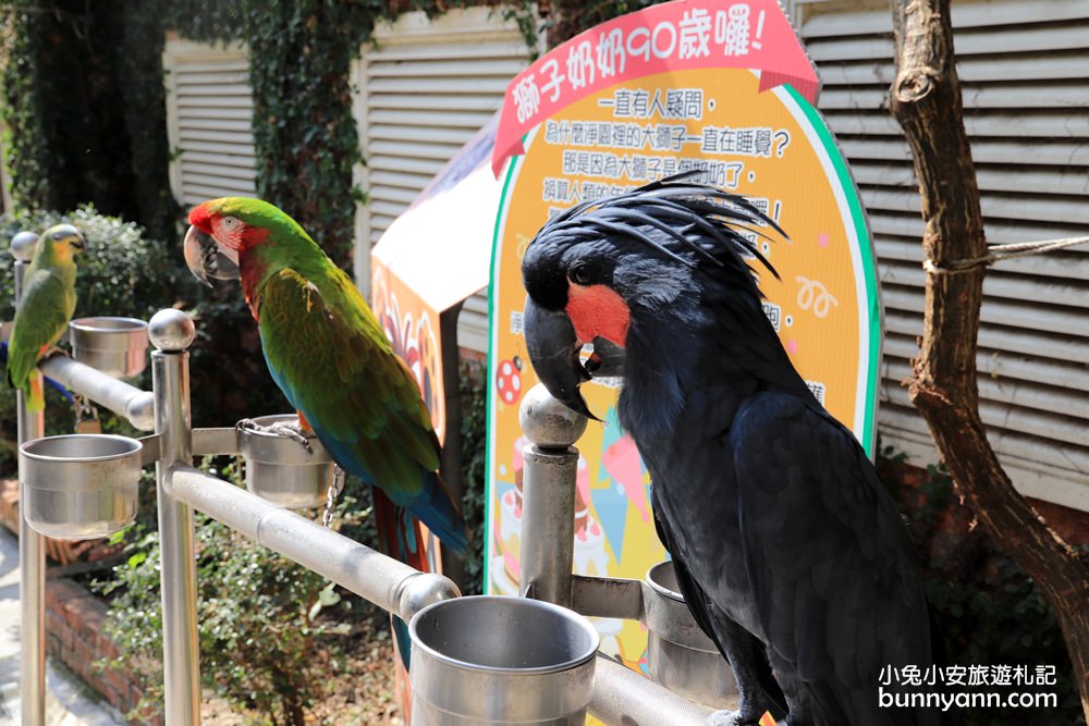 高雄景點》旅人野餐秘密基地！全新長頸鹿沙坑溜滑梯與動物親子園，隱藏在城市裡的後花園～