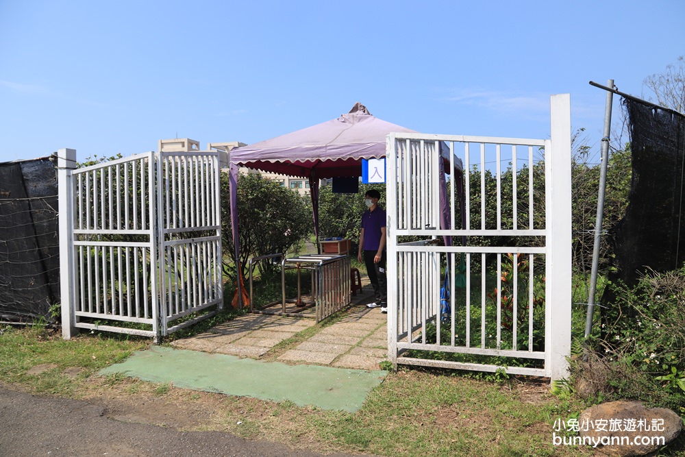 紫藤咖啡園一店屯山園區，浪漫紫藤天空、花廊等你來拍!!