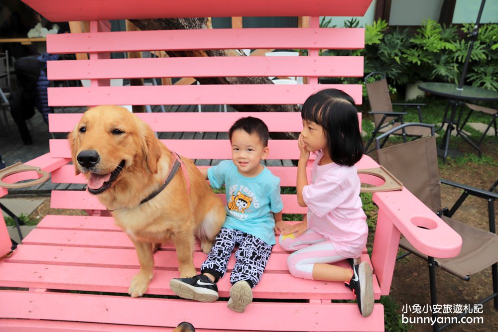 台中景點》獵犬不打獵！全台首家黃金獵犬寵物餐廳，11隻狗狗超療癒，放假來這被包圍~