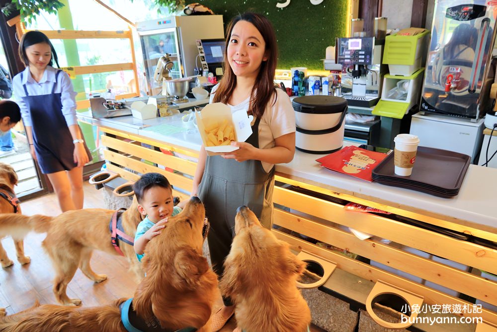 台中景點》獵犬不打獵！全台首家黃金獵犬寵物餐廳，11隻狗狗超療癒，放假來這被包圍~