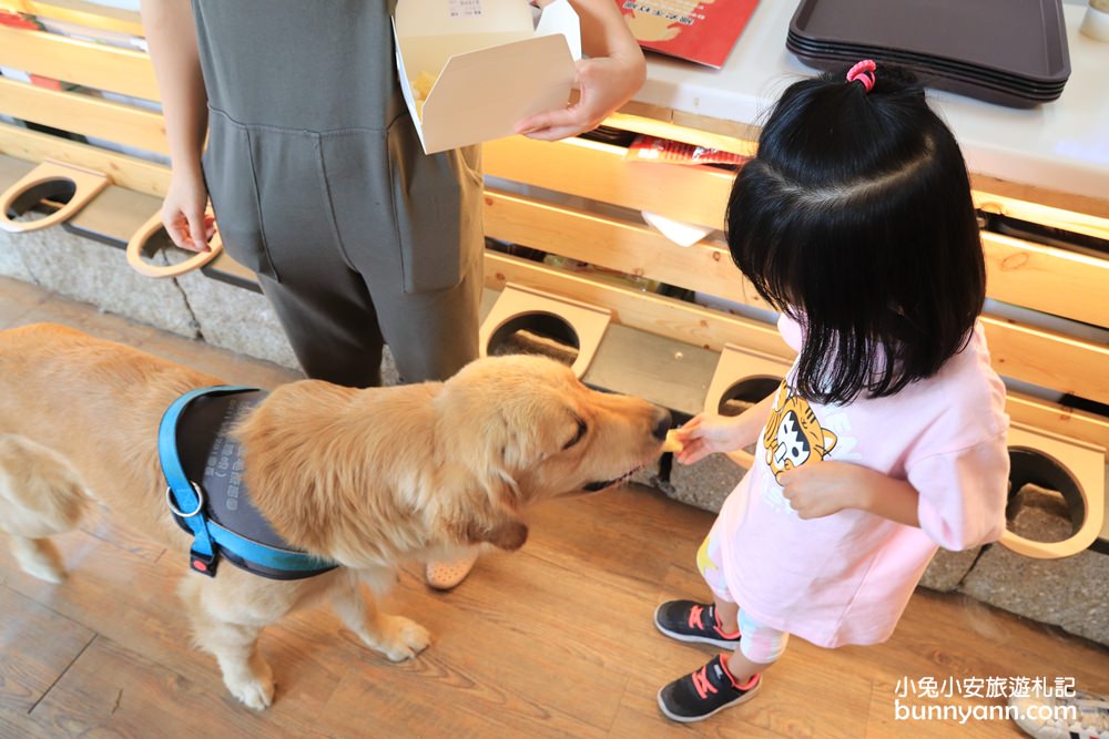 台中景點》獵犬不打獵！全台首家黃金獵犬寵物餐廳，11隻狗狗超療癒，放假來這被包圍~