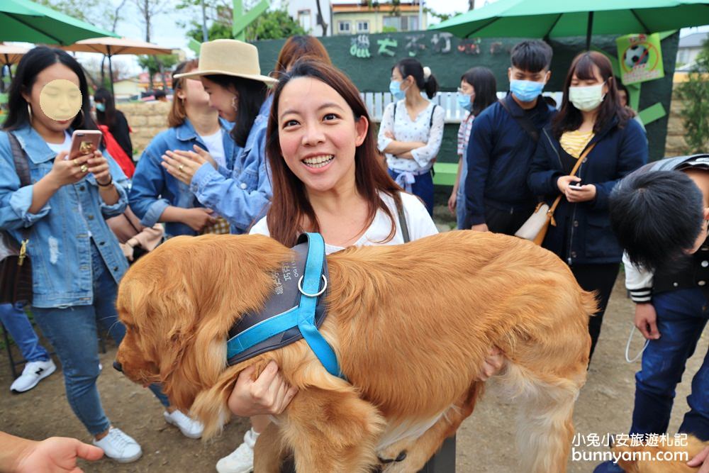 台中景點》獵犬不打獵！全台首家黃金獵犬寵物餐廳，11隻狗狗超療癒，放假來這被包圍~