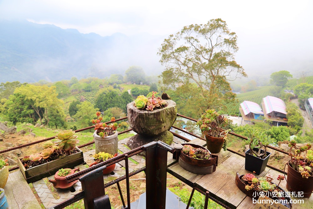 阿將的家23咖啡館｜阿里山宮崎駿石頭屋，茶園風光真美