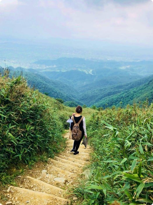 宜蘭礁溪抹茶山飄著雲霧的草原，適合季節、要爬多久一次打包。