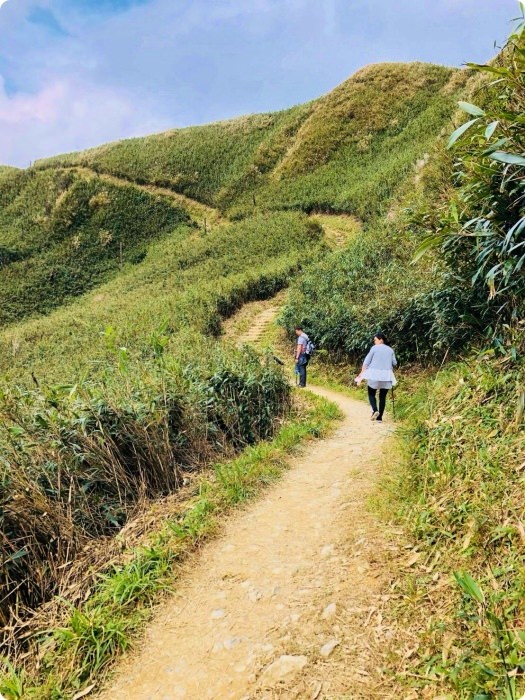 宜蘭礁溪抹茶山飄著雲霧的草原，適合季節、要爬多久一次打包。