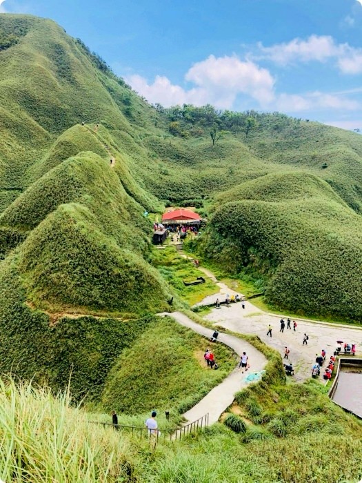 宜蘭礁溪抹茶山飄著雲霧的草原，適合季節、要爬多久一次打包。