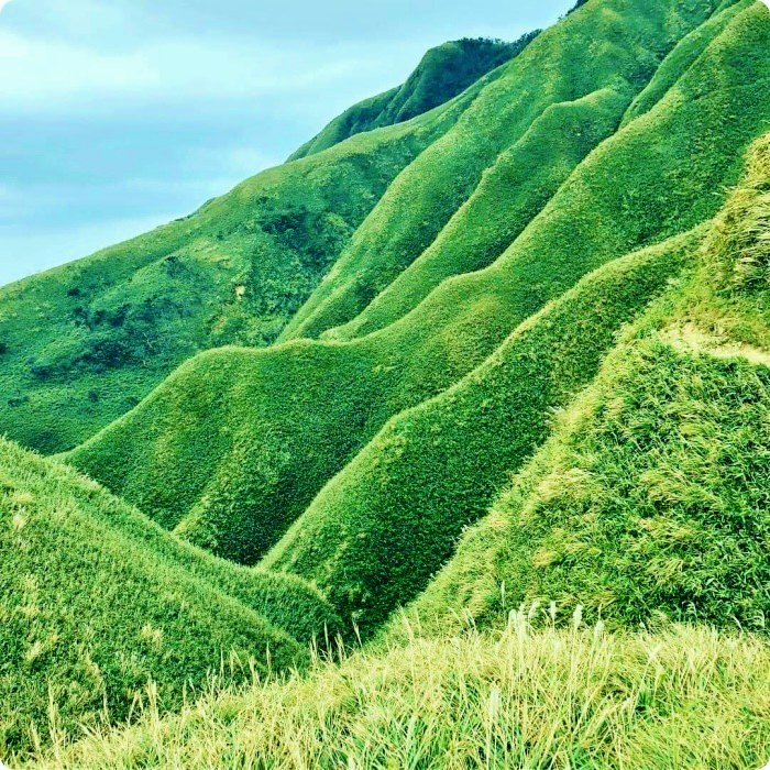 宜蘭礁溪抹茶山飄著雲霧的草原，適合季節、要爬多久一次打包。