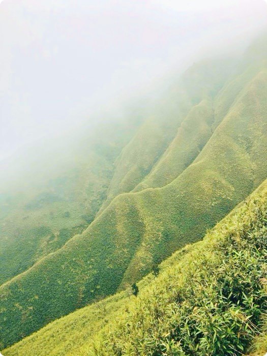 宜蘭礁溪抹茶山飄著雲霧的草原，適合季節、要爬多久一次打包。