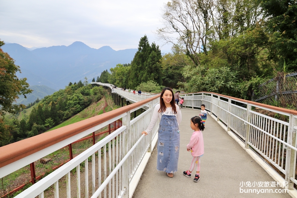 南投【清境天空步道】最美高空景觀步道伸手就能摸到雲朵