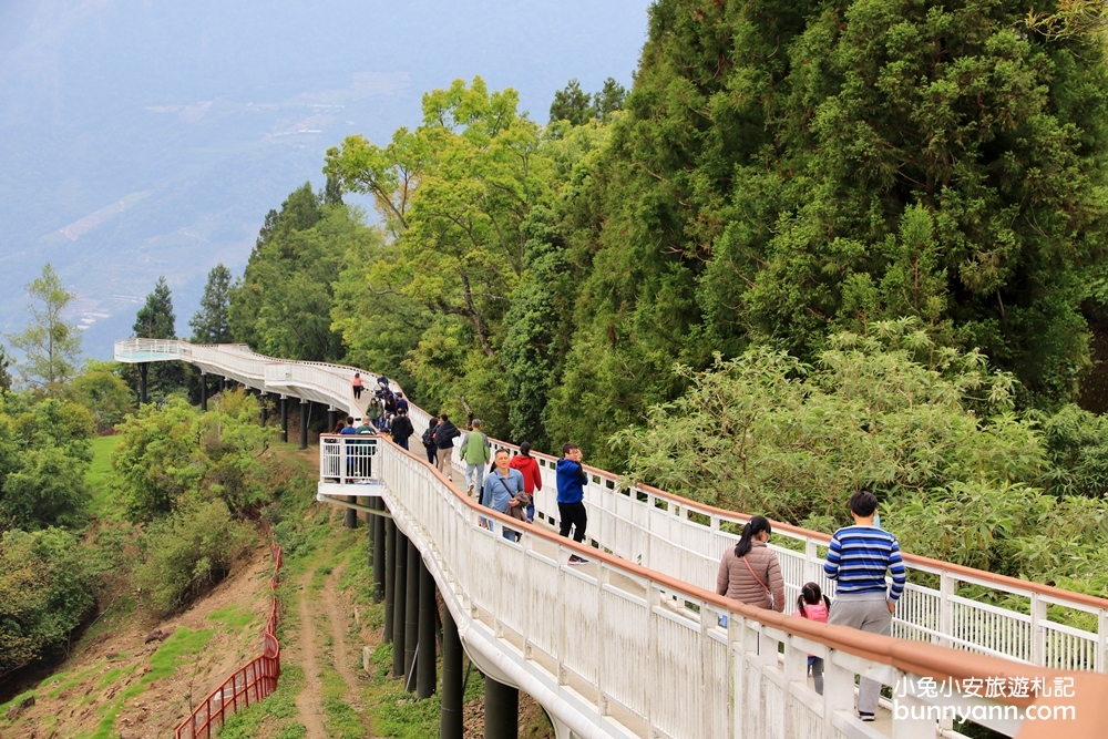 南投【清境天空步道】最美高空景觀步道伸手就能摸到雲朵