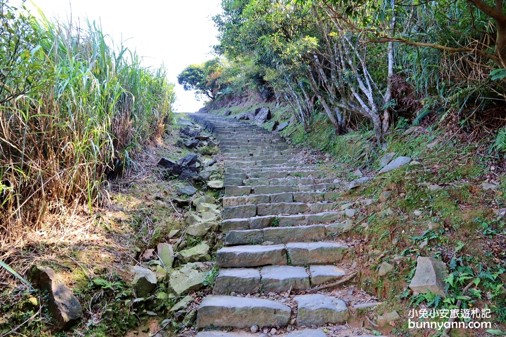 新北瑞芳【無耳茶壺山步道】180度金瓜石無敵海景超忘憂視野!!