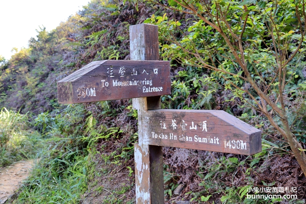 新北瑞芳【無耳茶壺山步道】180度金瓜石無敵海景超忘憂視野!!