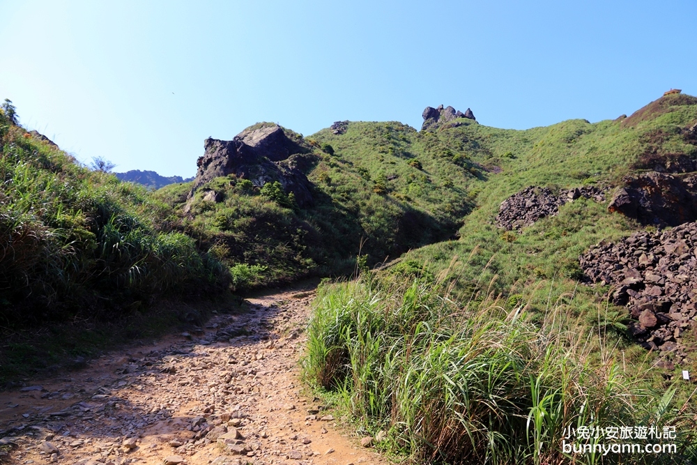 新北瑞芳【無耳茶壺山步道】180度金瓜石無敵海景超忘憂視野!!